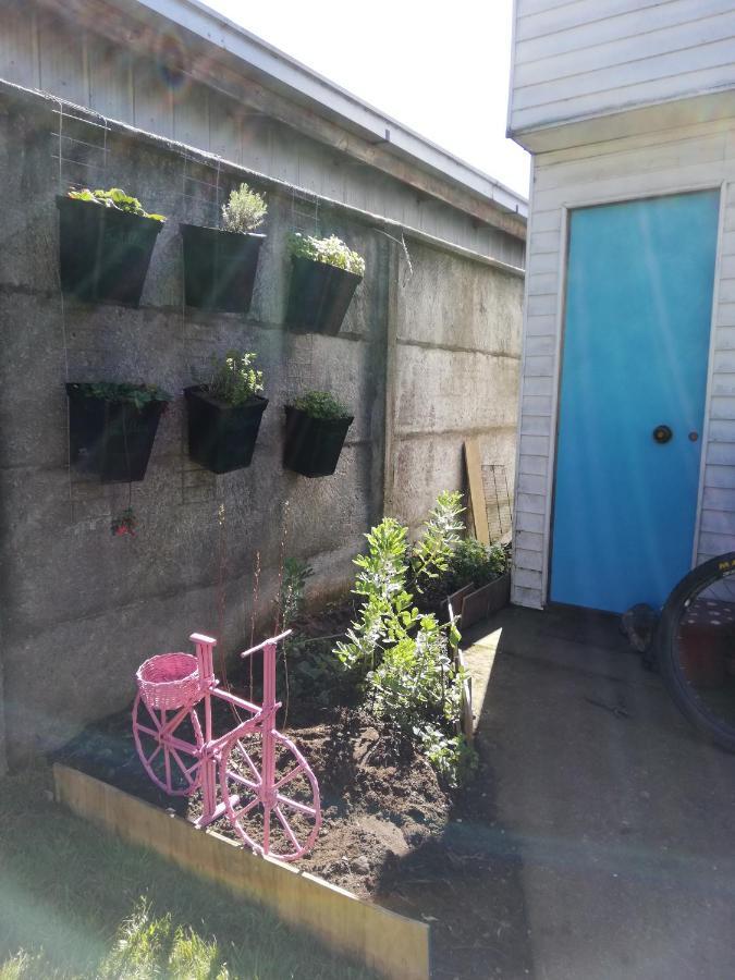 La Huerta Hostel 蒙特港 外观 照片